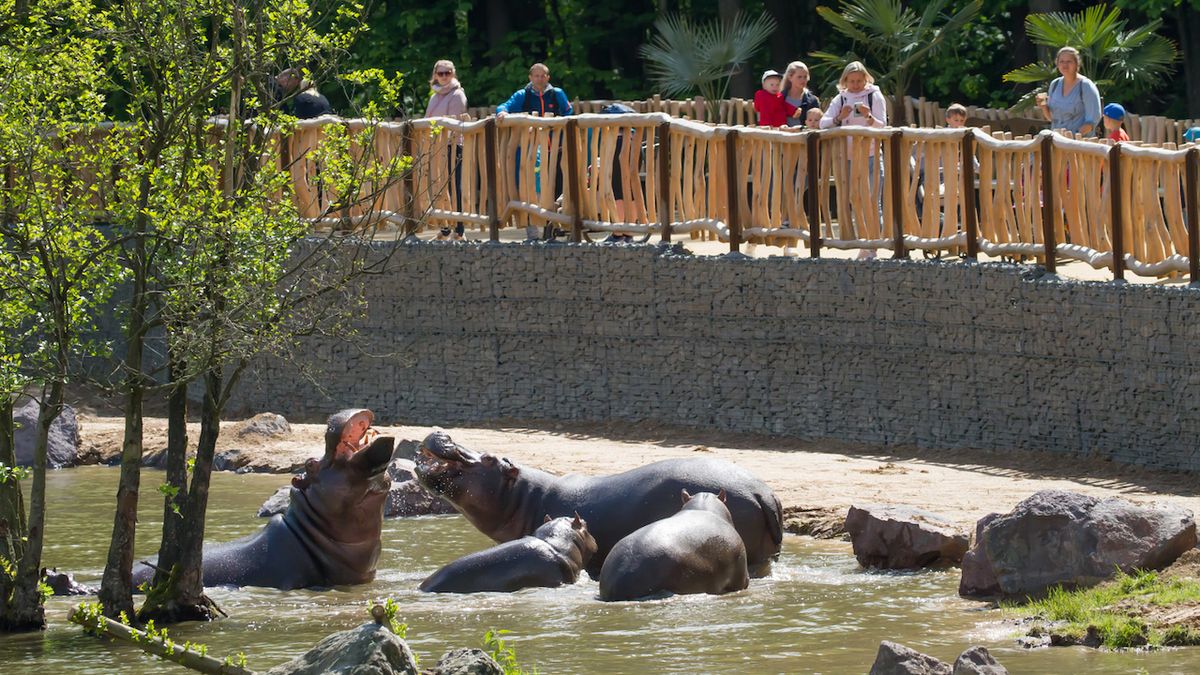 Královédvorský safari park otevřel Jezero hrochů